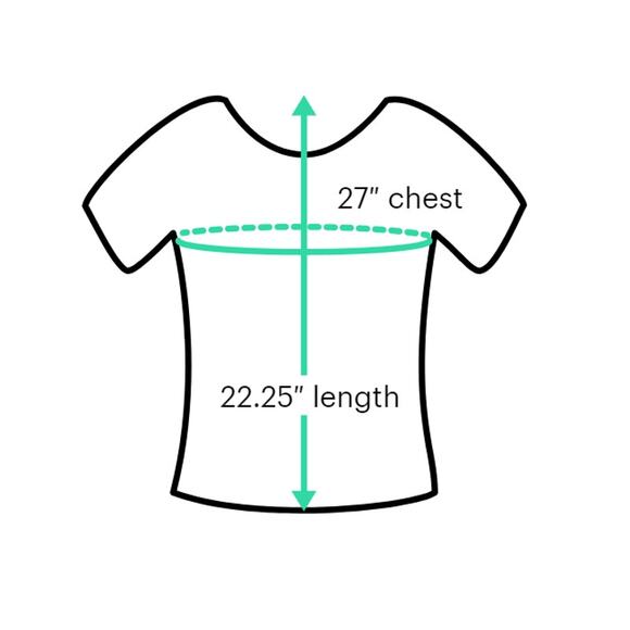 NWT Gibson x Hi Sugarplum  Blue White Striped Ruffle  Short Sleeve Top PetiteXXS - Picture 5 of 5